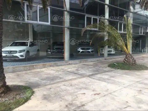 Local En Alquiler En Zona Península, Punta Del Este