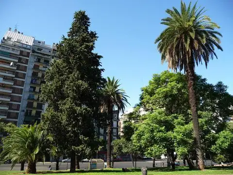 Departamento en Alquiler 35 años