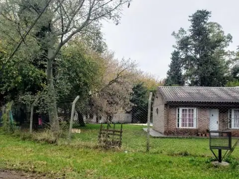 Alexander Fleming 3500