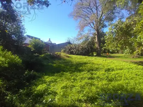 Primera junta al 945