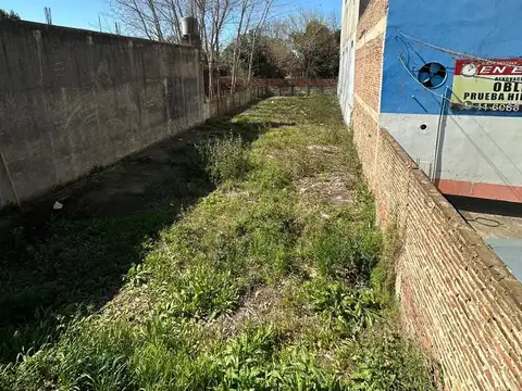 Galpon en Alquiler A Estrenar