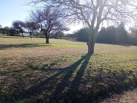 Estación Del Carmen 100