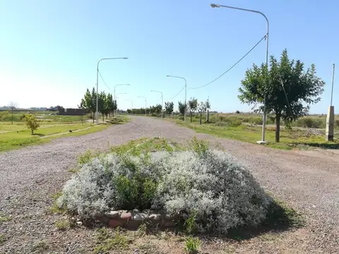 Lote Beltran Las Margaritas