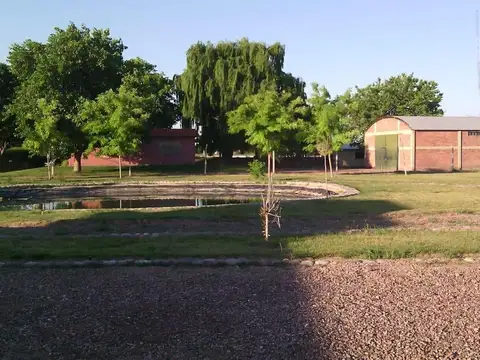 Lote Beltran Las Margaritas