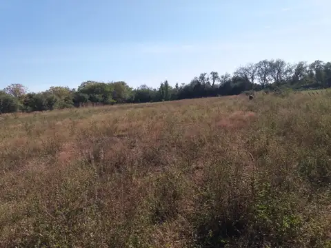 Casa quinta, 3 habitaciones, 7 hectáreas, Aptas Cultivo