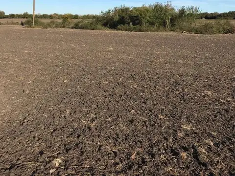 Campo 15 Ha - Tala, Entre Ríos, a metros de RN39