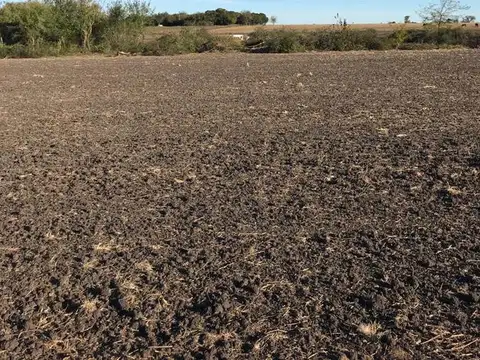 Campo 15 Ha - Tala, Entre Ríos, a metros de RN39