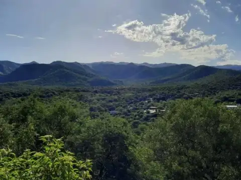 Reina Mora 300