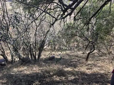 VENTA LOTE B CON SEG MENDIOLAZA SIERRA NUEVA