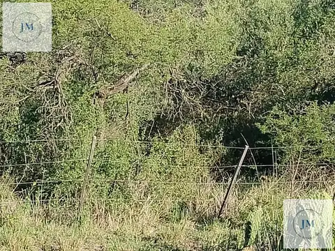 Terreno en Venta 42  mts Frente