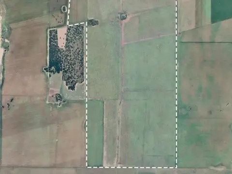 VENTA - 300 Has. agrícolas Villa Mercedes (San Luis)