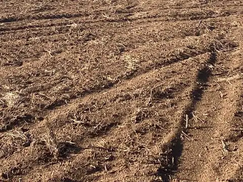 VENTA - 300 Has. agrícolas Villa Mercedes (San Luis)