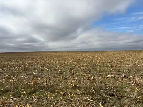 VENTA - 300 Ha. Agrícolas a 30´ de  Villa Mercedes , San Luis