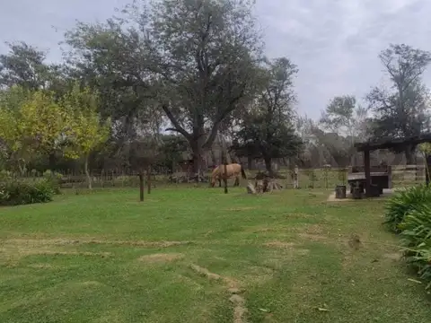 VENTA COMPLEJO DE CABAÑAS RURALES EN PARDO ( CABAÑAS/QUINTA/ CONJUNTO)- LAS FLORES