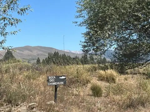 Terreno en Venta 10  mts Fondo