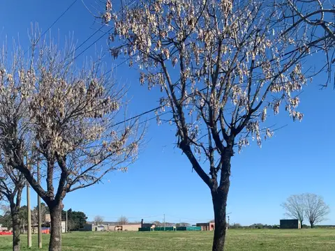 Terreno en Venta en Soldini, USD 28.000