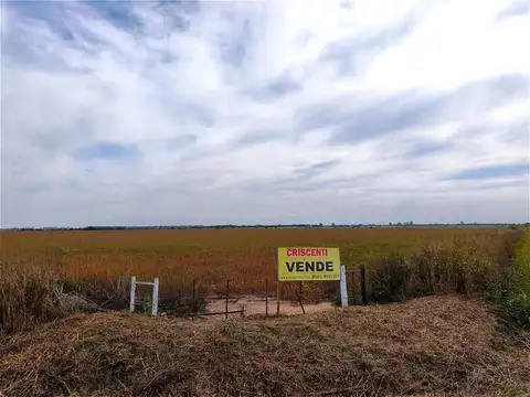 Campo en San Jerónimo Sud, sobre Autopista Rosario Córdoba