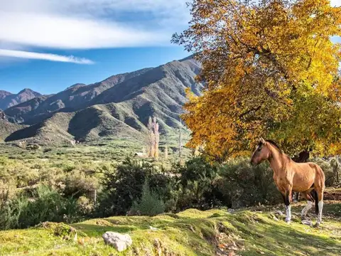 Terreno en Venta en Las Compuertas, USD 20.000