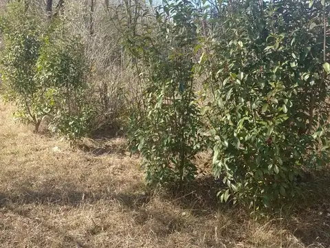 Terreno en Venta de 729,0 m2