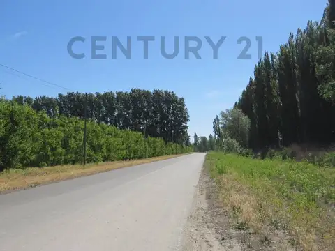 Terreno de 473m2 en Cervantes loteo Rufina