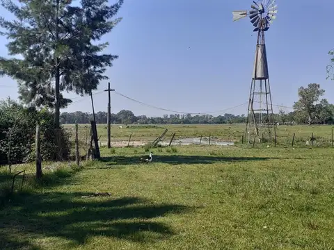 Campo, El Martillo, Marcos Paz.