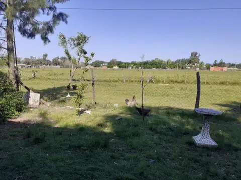 La Gaviota Y El Picaflor