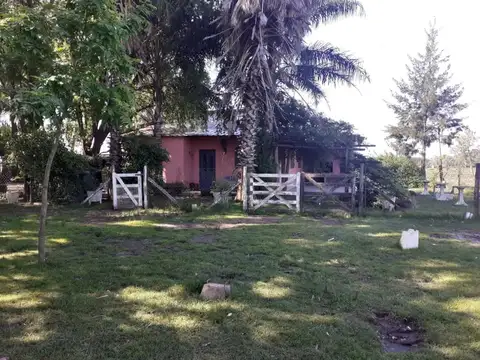 La Gaviota Y El Picaflor