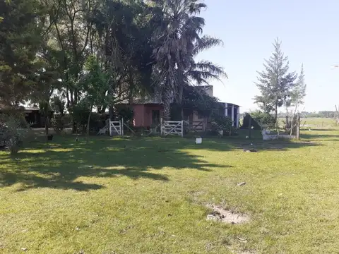 Campo, El Martillo, Marcos Paz.