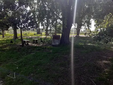 Campo, El Martillo, Marcos Paz.