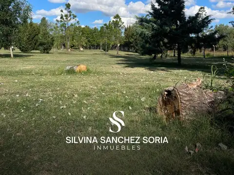 TERRENO EN VENTA, BARRIO CERRADO EL CARDAL II, LOS CARDALES