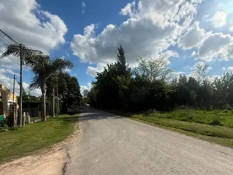 Calle 11 y El Palenque