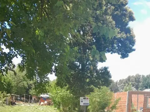 TERRENO EN VENTA EN PAVON EXALTACION DE LA CRUZ