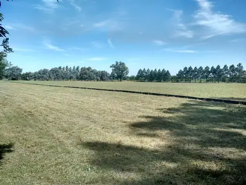 Alto Los Cardales, Provincia de Buenos Aires