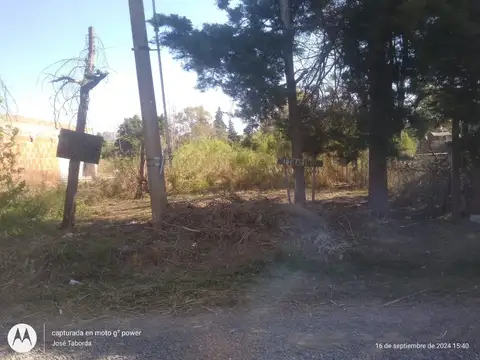El Rodeo