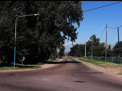 Campo en Venta en Las Violetas, Lavalle