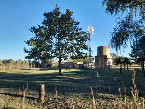 Campo en venta - 41,4 Hectareas - Bolívar