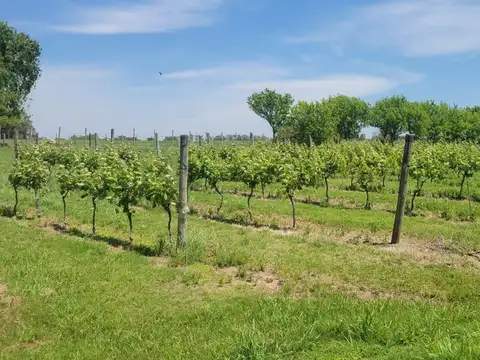 Terreno en Venta de 5150,0 m2