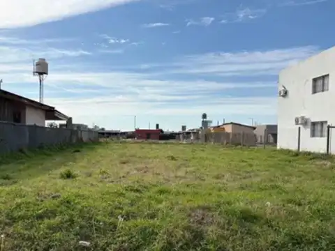 Garrone y Calendaria