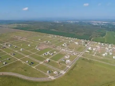 Garrone y Calendaria