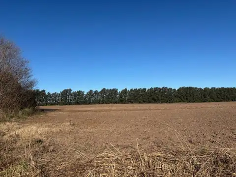 Oportunidad 10 has de campo agrícola en San Pedro.