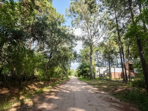 Puerto Palacios