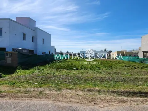 Carola Lorenzini 4600