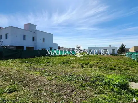 Carola Lorenzini 4600