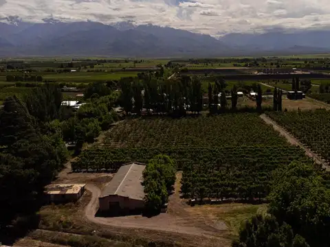 Lencinas S/N Vista Flores, Tunuyán