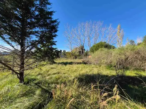 LOTES TERRENO VENTA PILAR CAAMAÑO