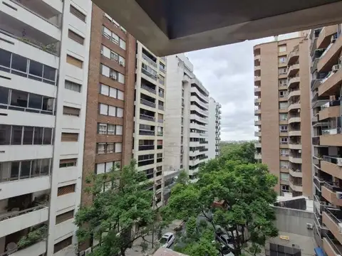San Lorenzo 500