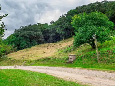 TERRENO EN VENTA LOS ZARZOS SAN LORENZO
