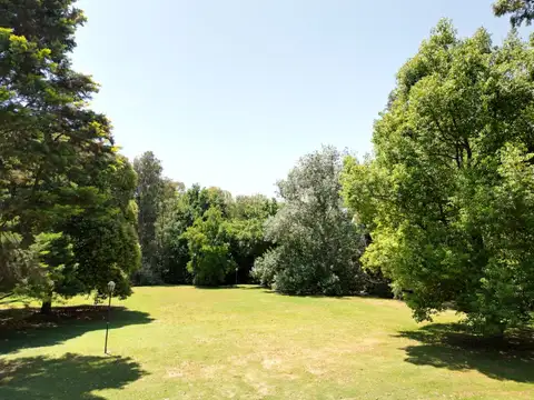 SAN  JOAQUIN CAPILLA DEL SEÑOR 100