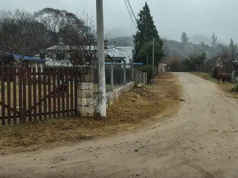 LAS MARGARITAS