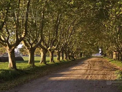 Terreno en Venta en Estancia Villa Maria, USD 39.999